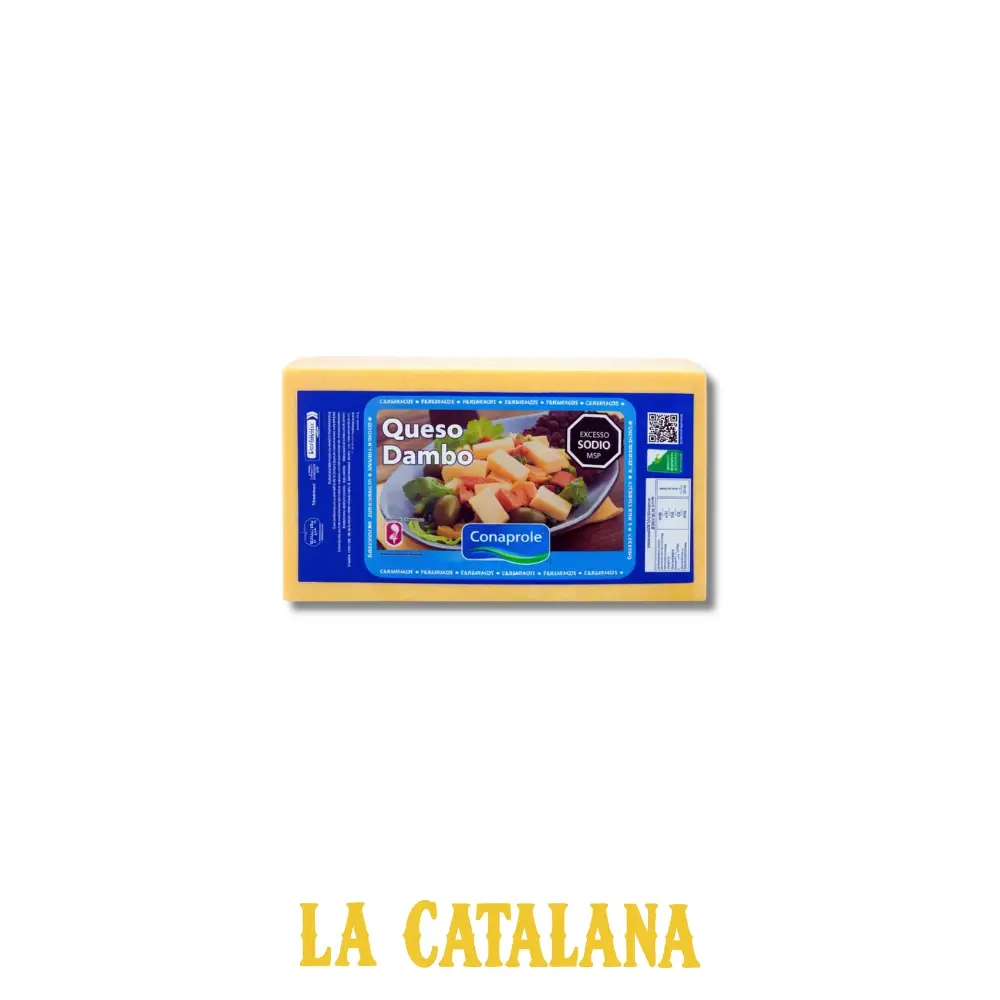 QUESO DAMBO CONAPROLE