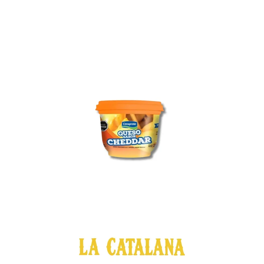 QUESO UNTABLE CHEDDAR CONAPROLE 230 g