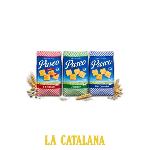 GALLETAS PASEO 300 g