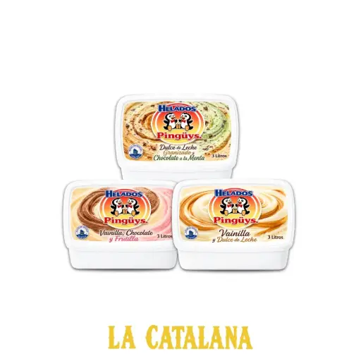 HELADO FAMILIAR PINGUYS 3 L