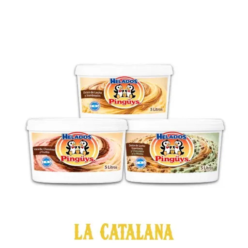HELADO FAMILIAR PINGUYS 5 L