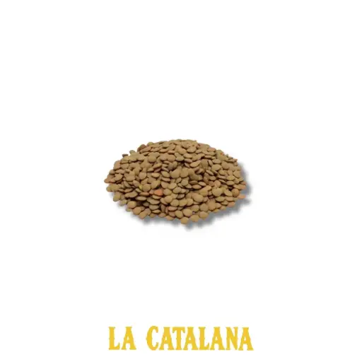 LENTEJAS