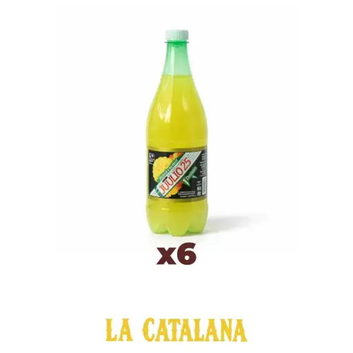 ANANA FIZZ JULIO 25 1,5 L x6u